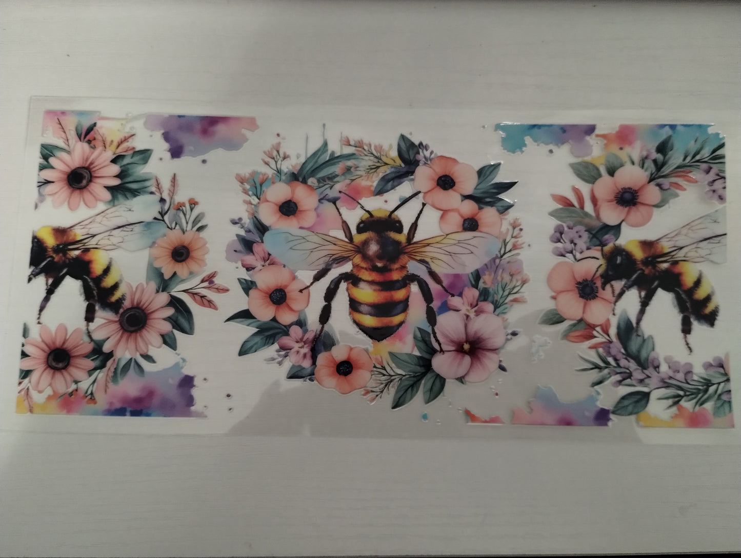 Honey Bee and Combs