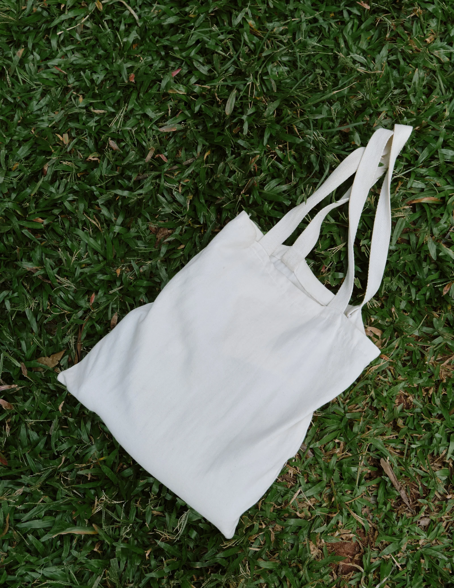 Tote bag mock ups